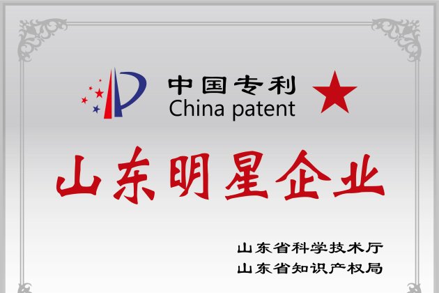 中國專利“山東明星企業(yè)”